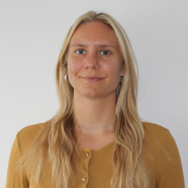 Webtribute Phyllis Holzer